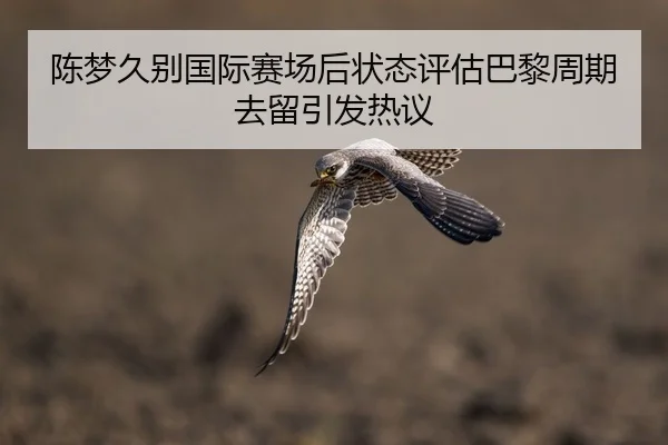 陈梦久别国际赛场后状态评估巴黎周期去留引发热议